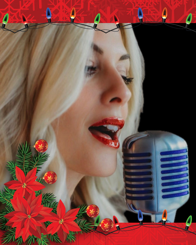 aligray.christmas.24v1